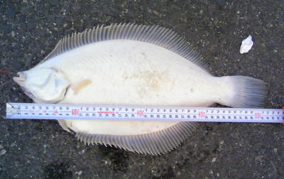 �}�R�K���C�S�Q����