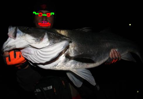 �^�C���N�X�Y�L�P�P�P�D�T����