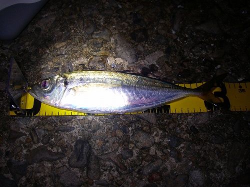 �A�W�R�Q�D�T����