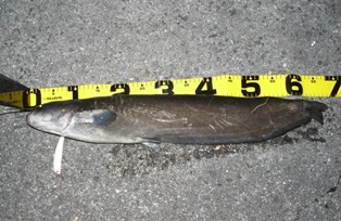 �i�}�Y�U�X����