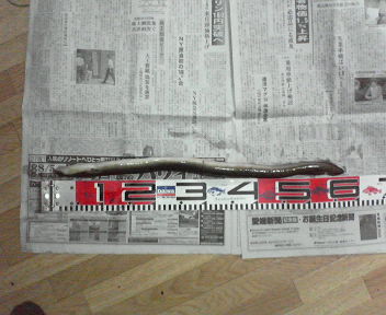 �E�i�M�T�W����