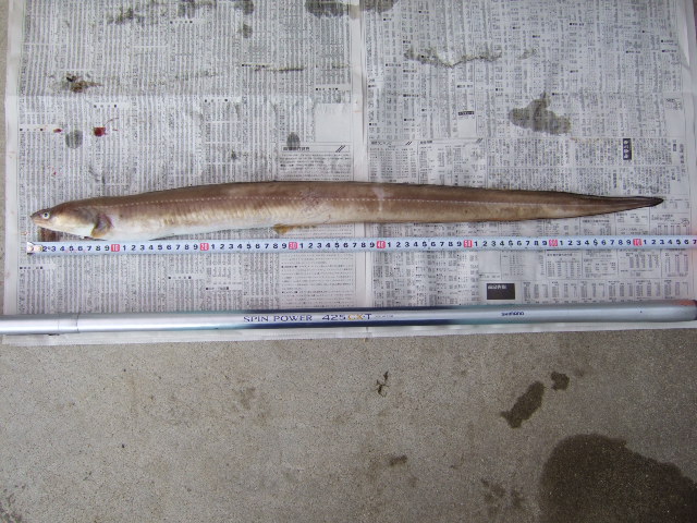 �A�i�S�V�R����