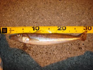 �L�X�R�O�D�R����