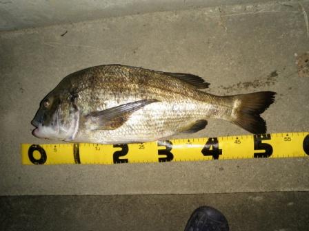 �`�k�T�R����