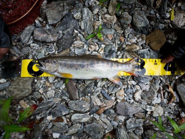 �A�}�S�R�O����