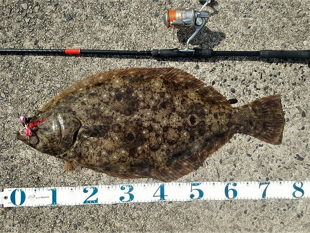 �q�����V�U����