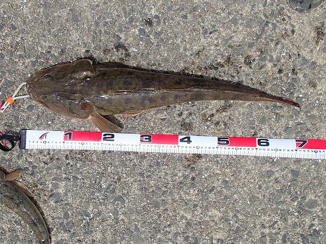 �}�S�`�V�Q����