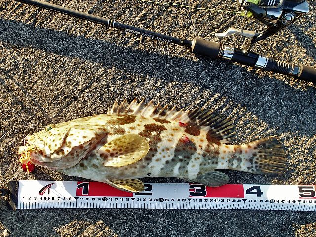 �`���C���}���n�^�S�W����