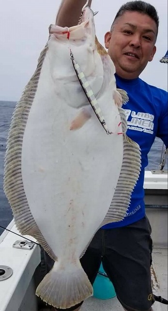 ヒラメ73cm